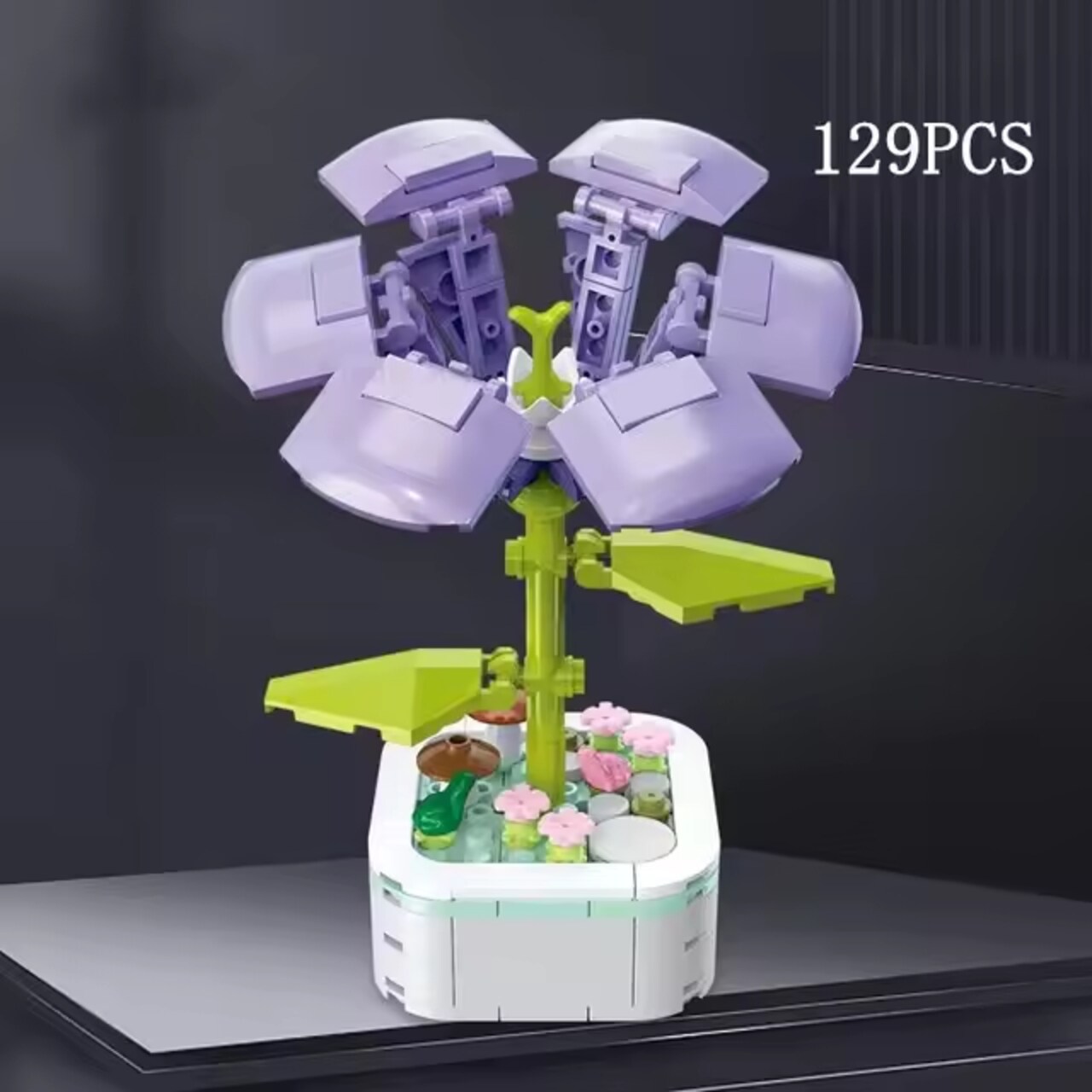 Morning Glory Convolvulaceae Building Brick Potted Flower F07M9-8(103)-A3